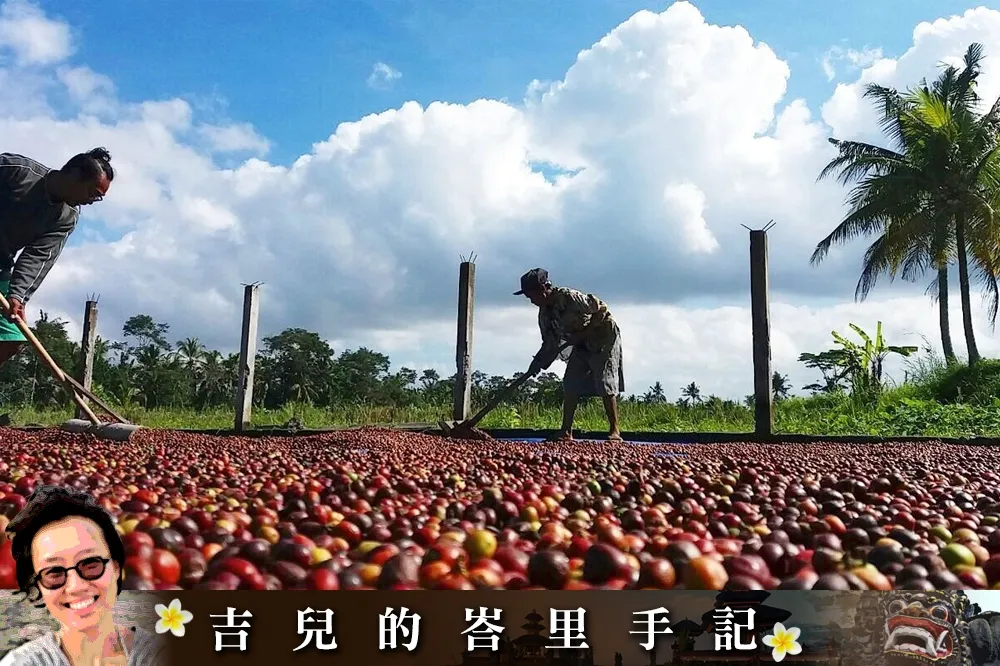 《吉兒的峇里手記》力爭上游的峇里咖啡