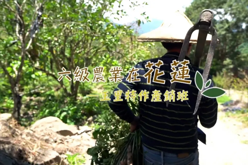 【影片】高經濟價值農作物跨足學術、生技和食品加工業　「花蓮特作產銷班」成最佳推手