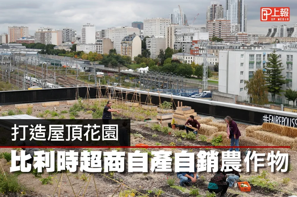 【影片】打造屋頂花園　比利時超商自產自銷農作物
