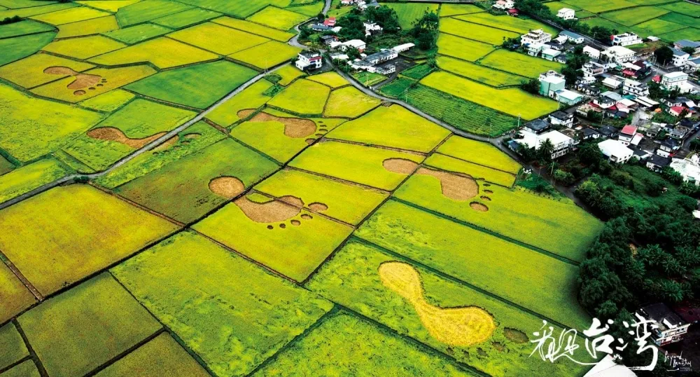 Taiwan In Numbers：看見台灣　看見水泥　砂石與河川
