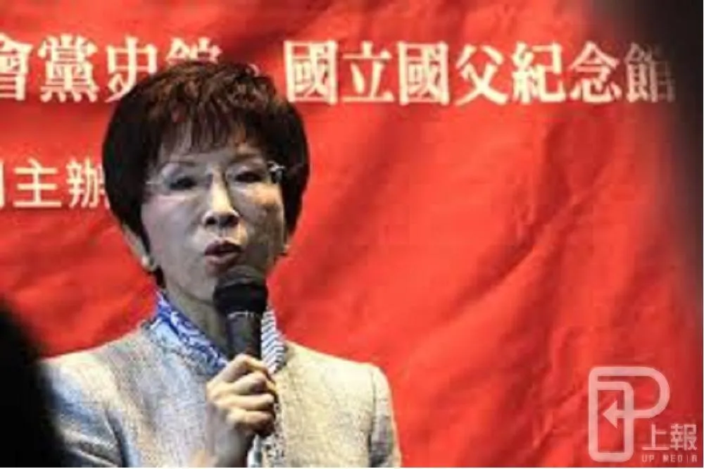 國民黨才是「民主進步」政黨　洪秀柱批政府逼人民上街頭