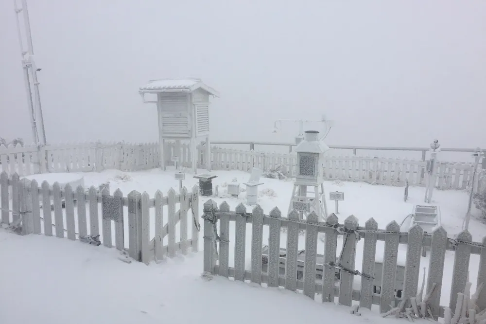 【冷氣團來襲】玉山白雪皚皚　累積雪線2公分