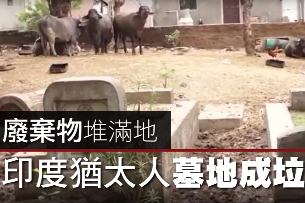 【影片】廢棄物堆滿地　印度猶太人墓地成垃圾山  