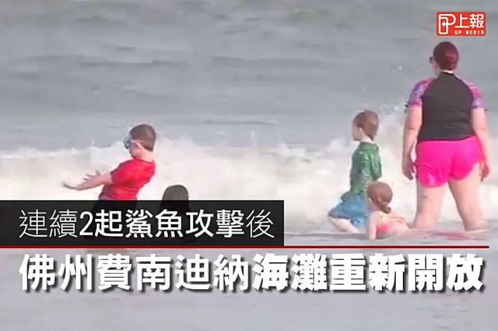 【影片】連續2起鯊魚攻擊後　佛州費南迪納海灘重新開放