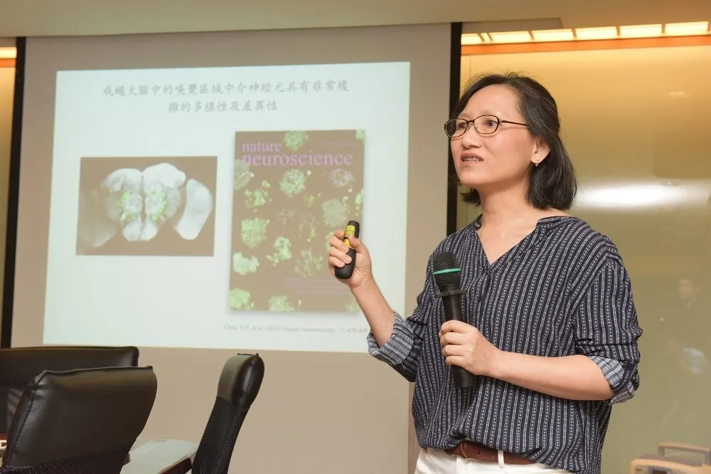 神經退化疾病有解？　中研院團隊找出大腦發育保護機制