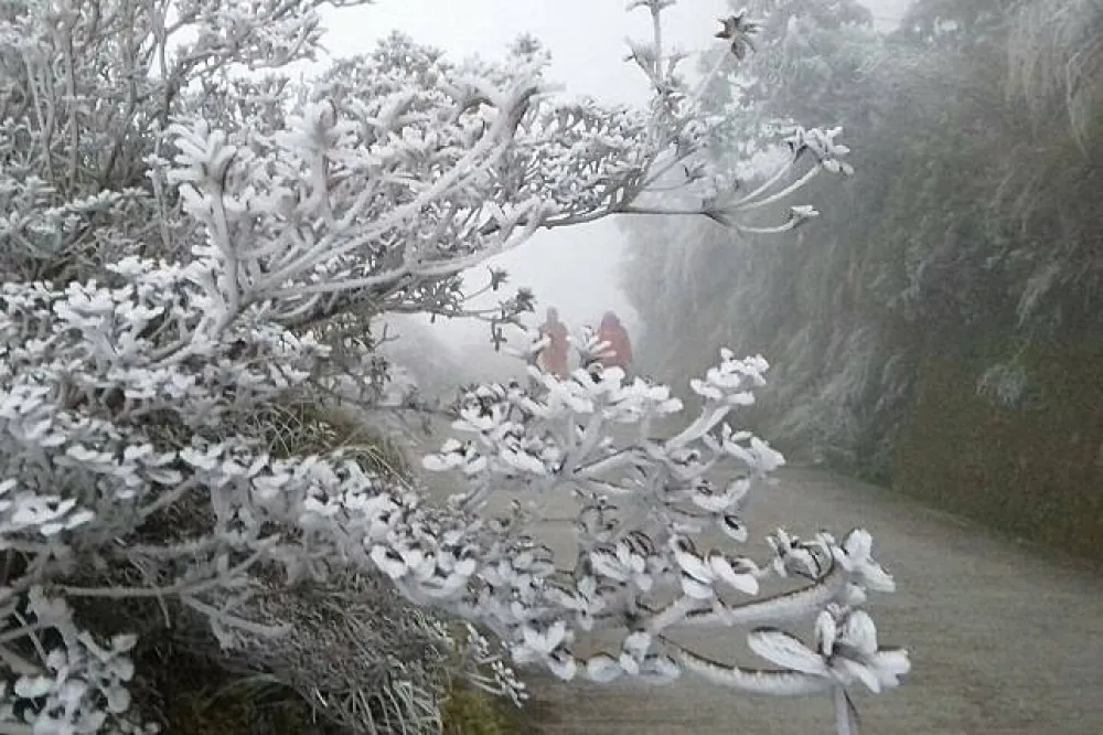 【追雪族要衝了】合歡、太平山「降好降滿」　拉拉、陽明山拉警報