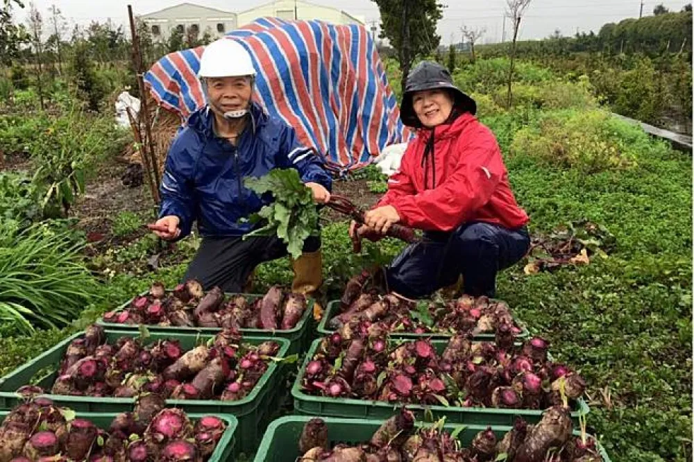 明道大學校長變養蜂達人　陳世雄：每天下田生產，真的很滿足