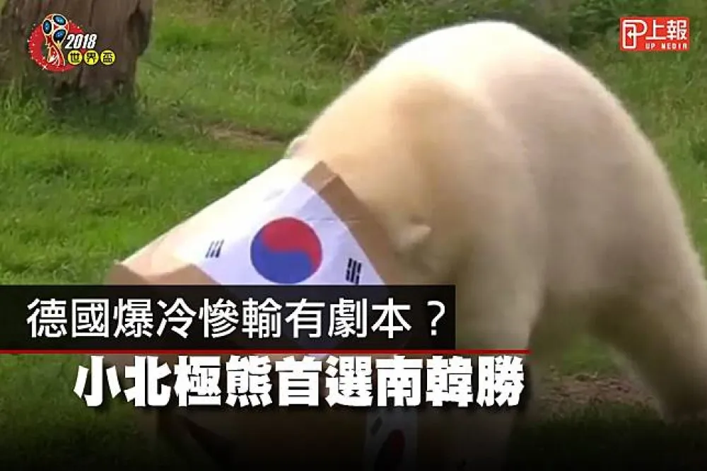 【2018世足片】德國爆冷慘輸有劇本？　小北極熊首選南韓勝