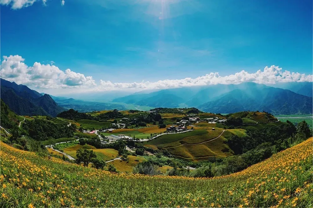 暑假旅遊景點再＋1！到花蓮倘佯金針花海、享受星空音樂會