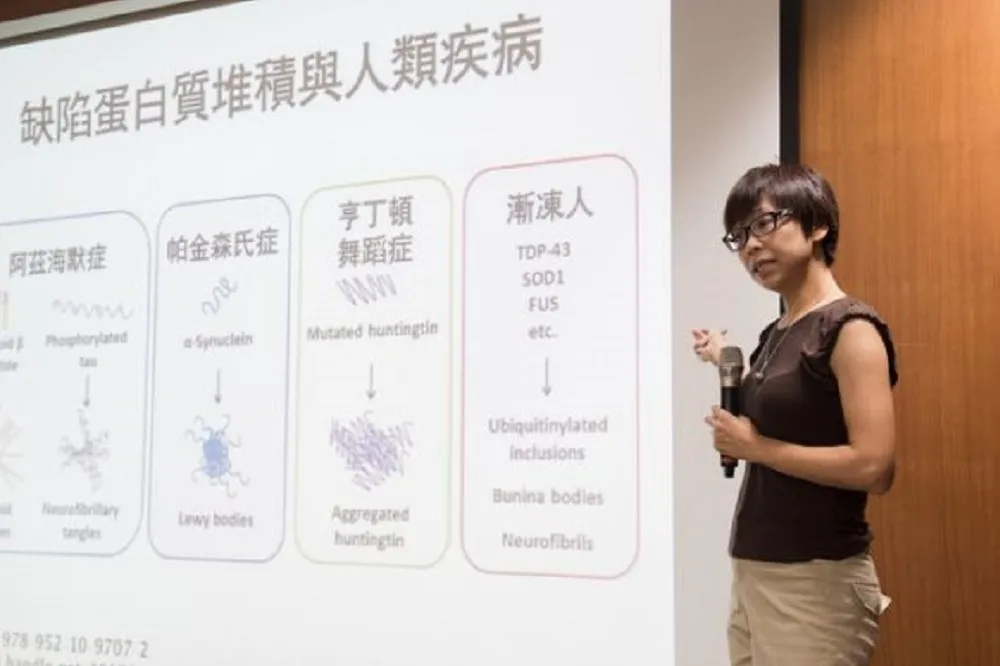中研院找出蛋白質品管機制　可望醫治阿茲海默症、帕金森氏症、漸凍人