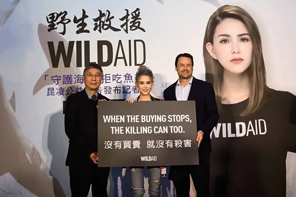 昆凌任WildAid大使為鯊魚發聲：「籲拒吃魚翅」