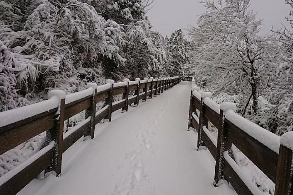 【追雪交管一覽表】太平山午後封園　陽明山恢復假日管制