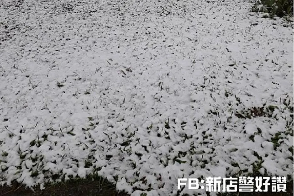 寒流低溫水氣充足　烏來山區難得降白雪　
