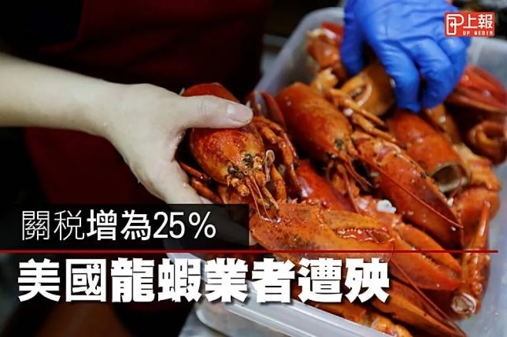 【中美貿易戰片】關稅增為25％　美國龍蝦業者遭殃
