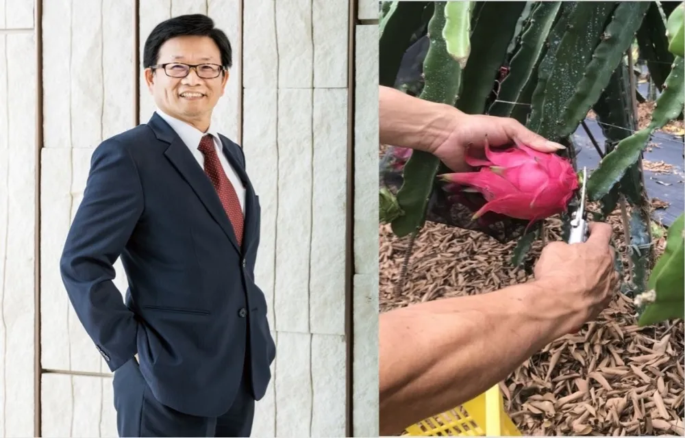 守護果農 送愛心  華南銀行採購5,100箱火龍果轉贈社福單位