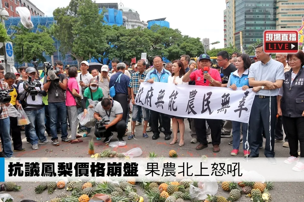 【直播】抗議鳳梨價格崩盤　果農北上怒吼：政府無能、百姓無辜！