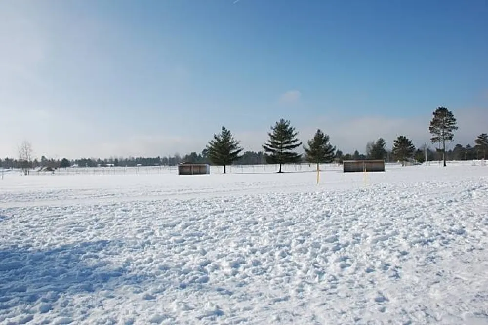 賞雪除了雪鍊之外「必須注意的9件事」　你做好萬全準備嗎？
