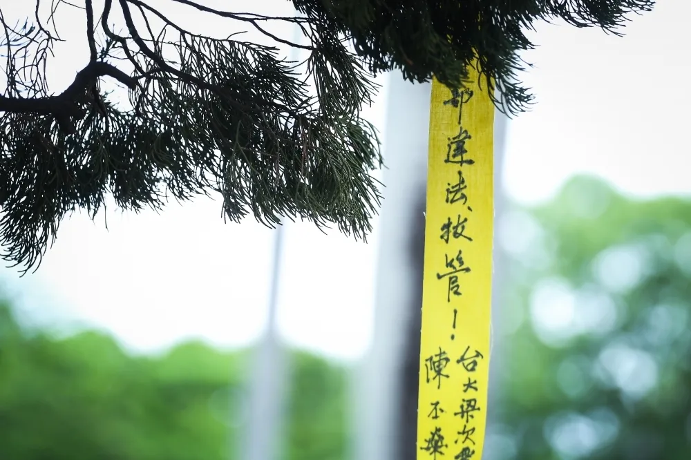  管中閔任獨董　顧立雄：符合擔任獨董資格沒違法