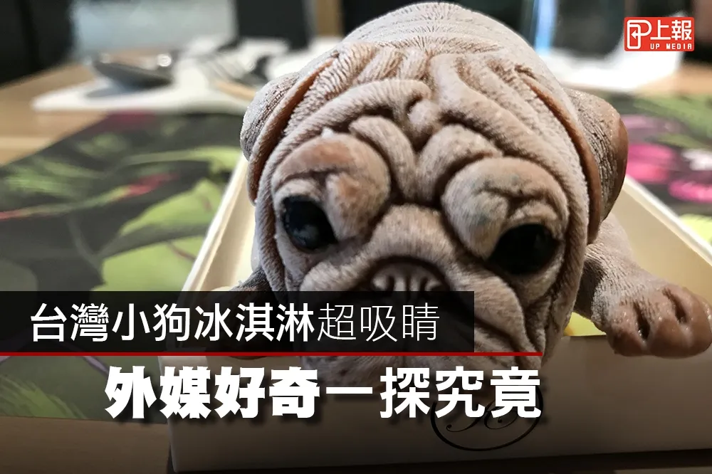【狗派站出來！】台灣小狗冰淇淋超吸睛　外媒好奇一探究竟