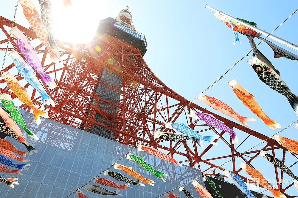 【東京鐵男見聞】為何日本端午節不是掛菖蒲而是掛鯉魚旗?