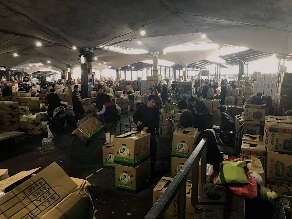 拿公帑買菜給家鄉社福團體挨批　吳音寧臉書PO文：這是好作法