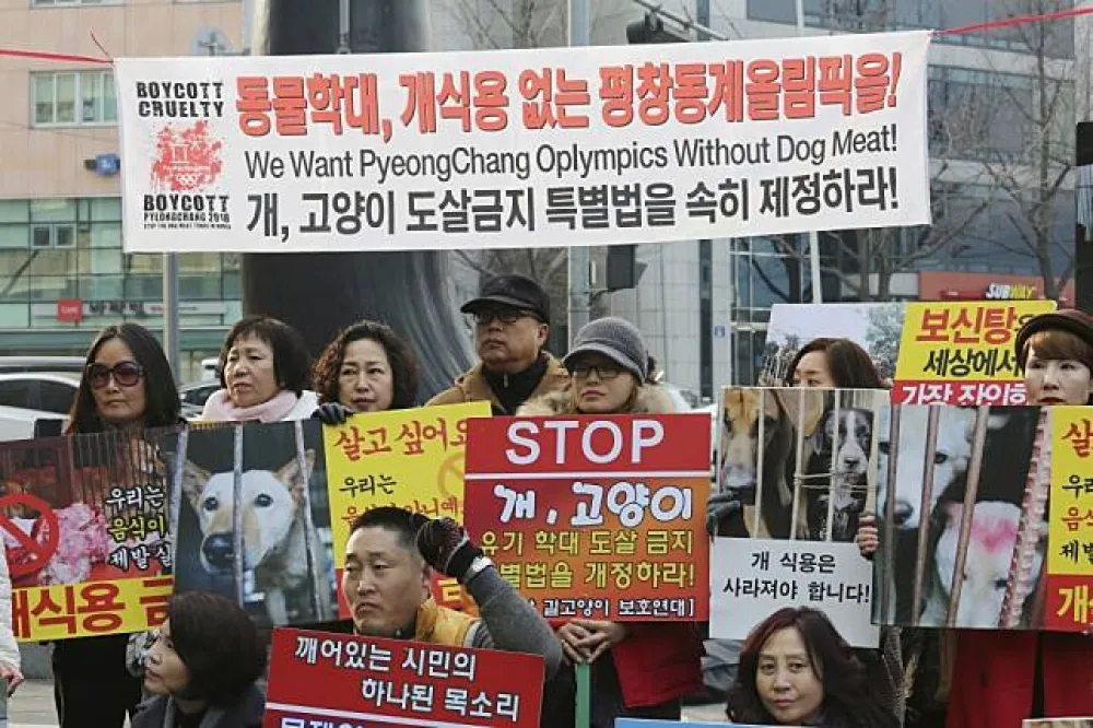 【平昌冬奧】一年宰殺250萬隻　南韓難脫吃狗肉爭議