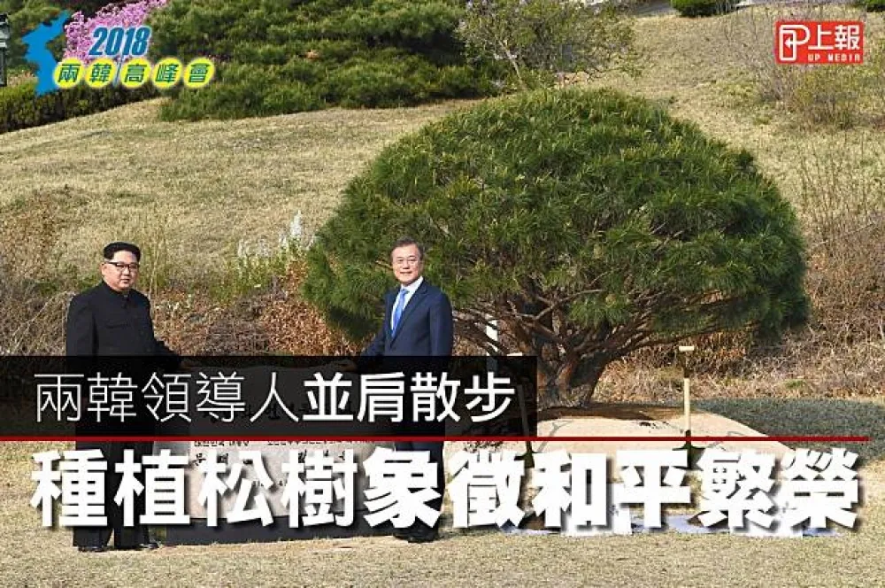 【兩韓峰會影片】兩韓領導人並肩散步　種植松樹象徵和平繁榮