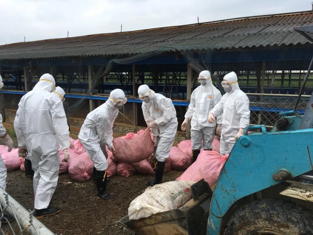 國防部投入上千官兵救災　連夜消毒台南和嘉義養殖場做好防疫
