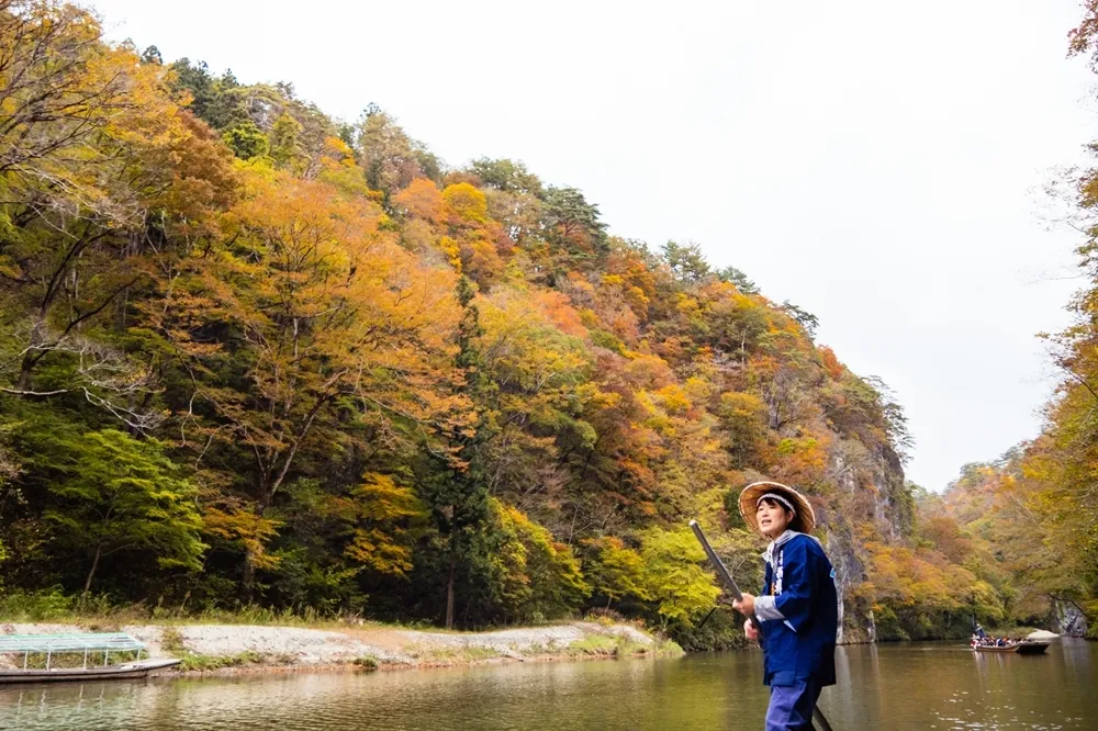 拍出不一樣紅葉！鐵道、遊湖、纜車3種賞楓方式日本東北通通有