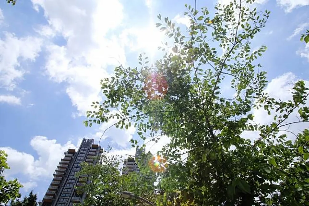 【紅害來襲】連假好天氣只到清明節　6日變天雷陣雨