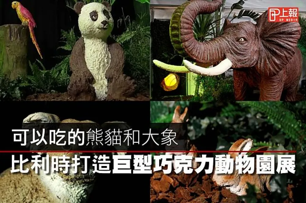 【影片】可以吃的熊貓和大象！　比利時打造巧克力巨型動物園展