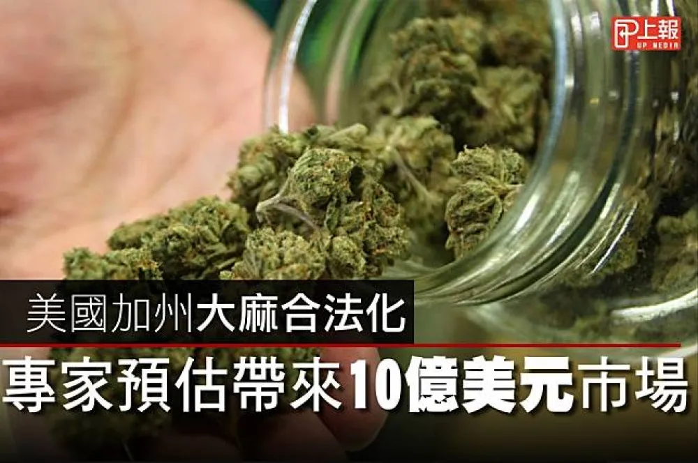 【影片】美國加州大麻合法化　專家預估帶來10億美元市場 