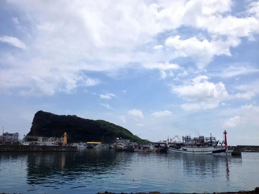 胡慕情專欄：深澳電廠擴建案照見的環評缺陷