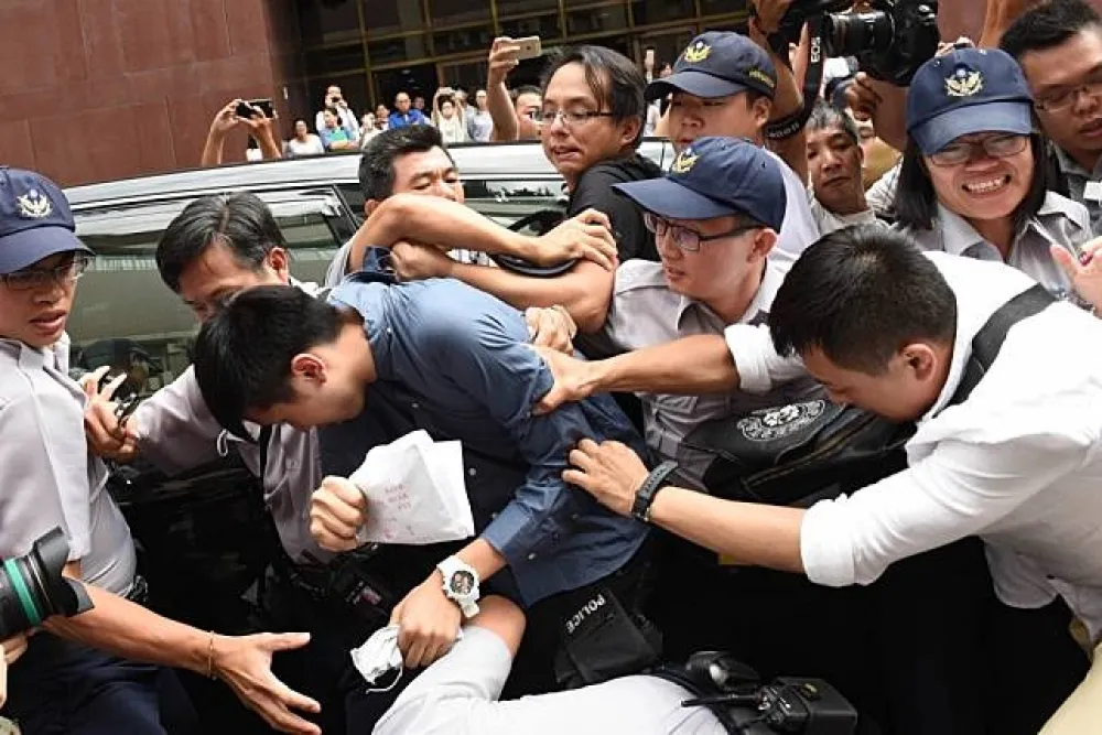 陳皓揚虐貓損台大校譽遭退學　不服處分提告今判敗訴