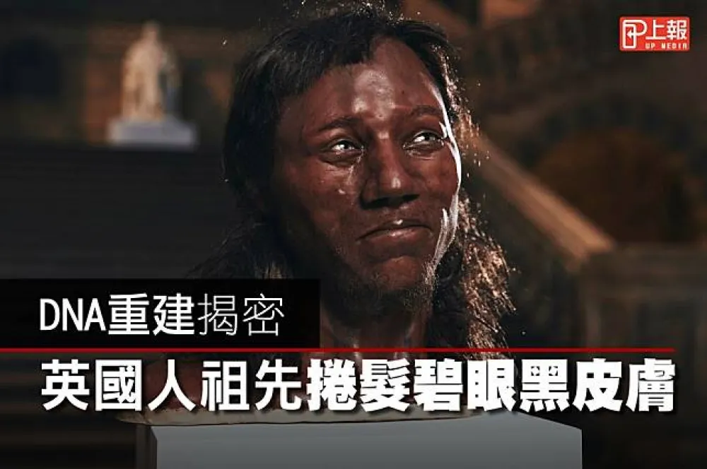 【知識片】DNA重建揭密　英國人祖先「捲髮碧眼黑皮膚」