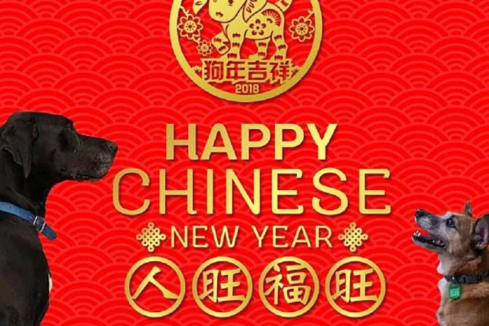 AIT新春賀歲影片　毛小孩一起打麻將、吃年夜飯過新年