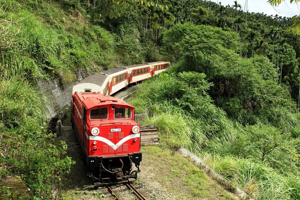 Google慶阿里山森鐵106歲生日　小火車本線卻宣布停駛3個月