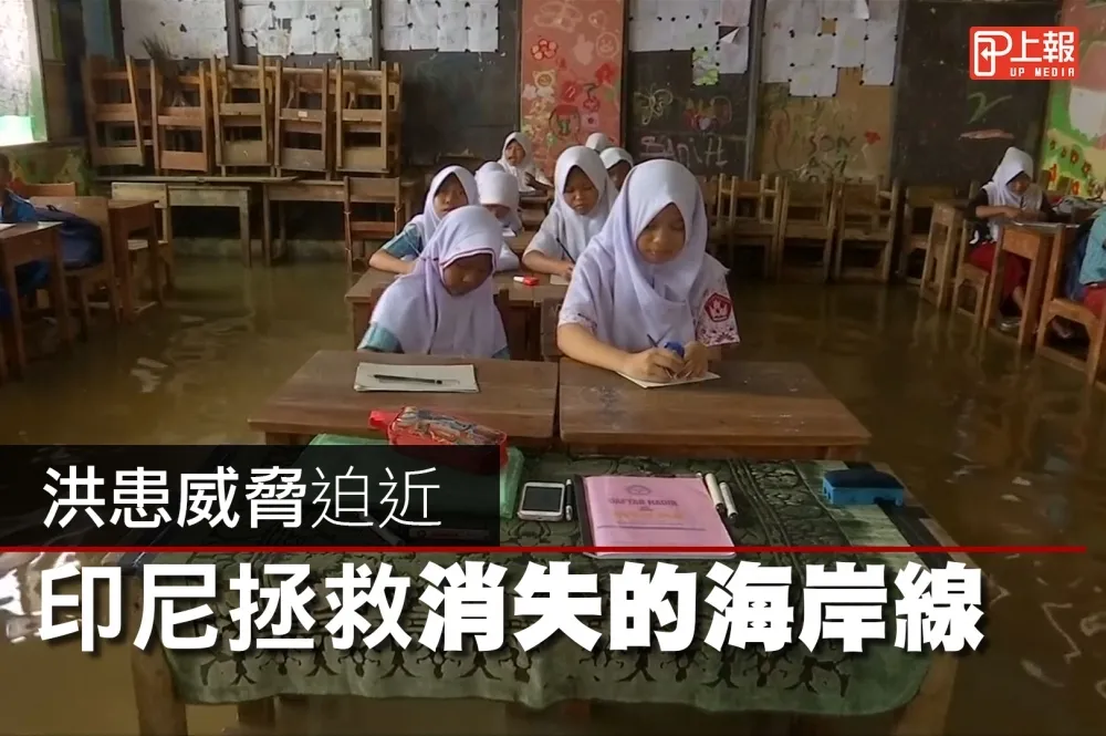 【影片】洪水威脅迫近　印尼拯救消失的海岸線