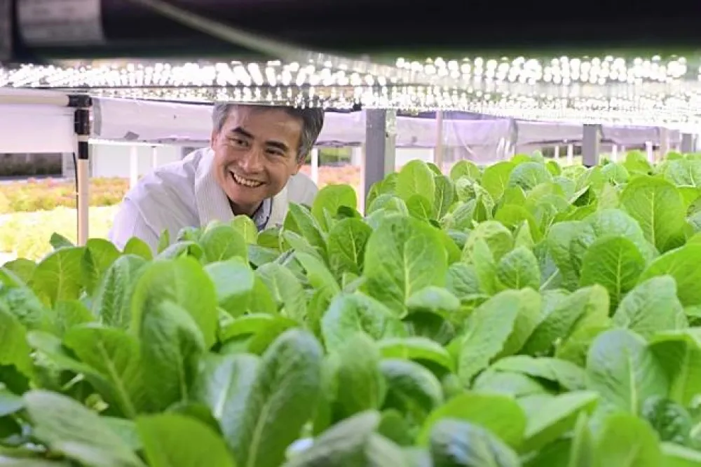 應用科技引領生技農法  源鮮智慧農場107將營運
