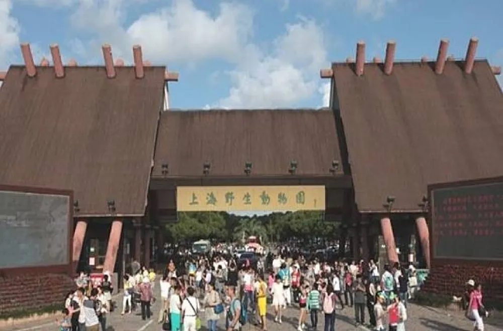上海野生動物園英文官網錯很大　外國遊客霧煞煞