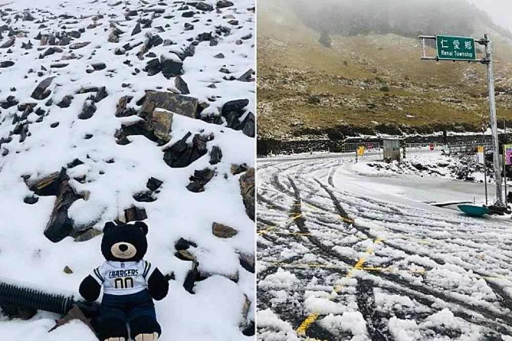 【寒流發威】合歡山清晨霰轉飄雪　白色世界再現