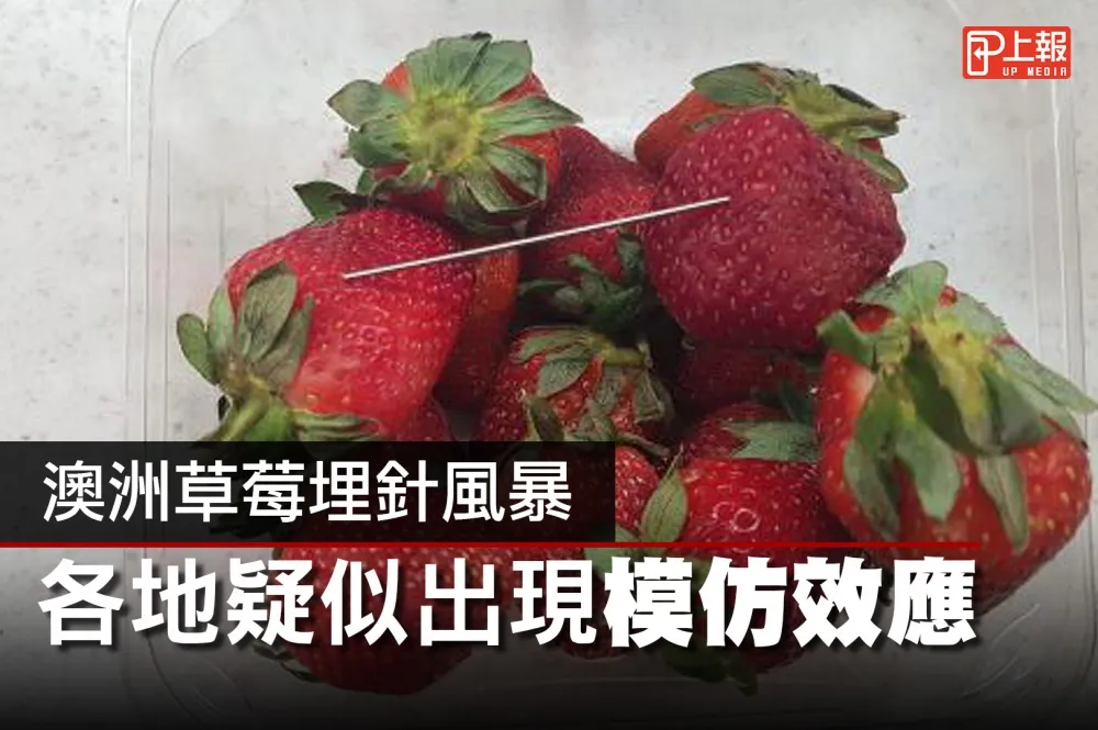 【影片】澳洲草莓埋針風暴　各地疑似出現模仿效應