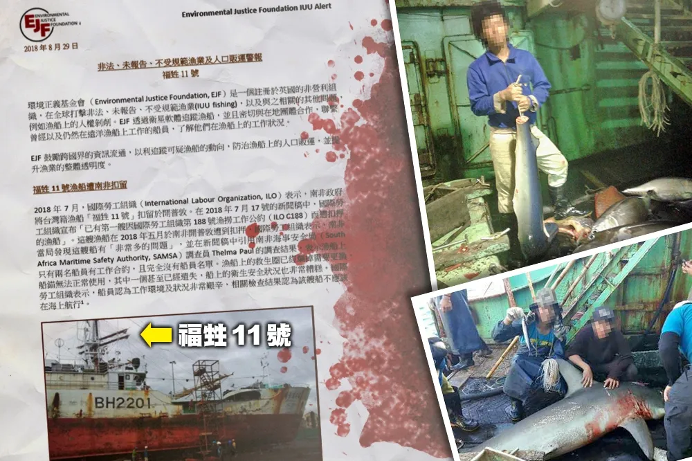 台漁船遭控捕鯊「割鰭棄身」　恐遭漁業紅牌將重創500億產值