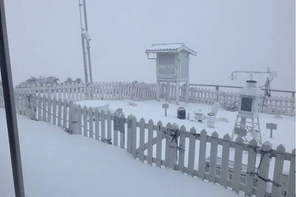 又見銀白世界　阿里山、玉山也飄雪
