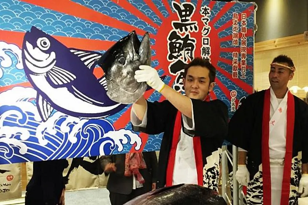 【有片】鳥丈爐端燒大江店12/9正式開幕 「黑鮪魚切割秀」現殺現吃
