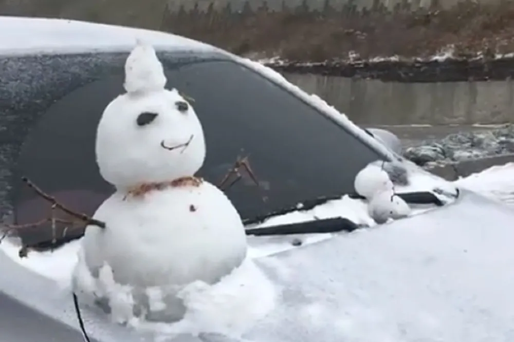 受大陸冷氣團影響　合歡山飄雪玉山出現霧淞雪景