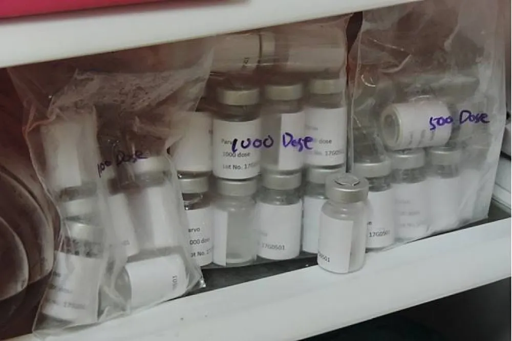 私製禽流感疫苗賣養鴨大戶　嘉義大學2教授交保