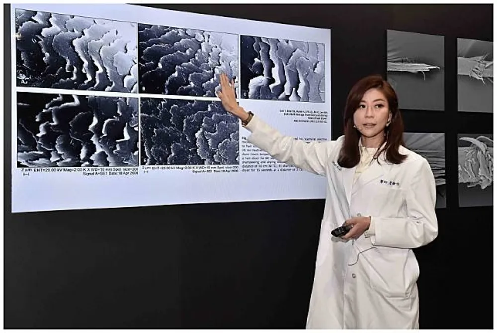 白頭髮拔一根會長三根？帶你打破傳說迷思
