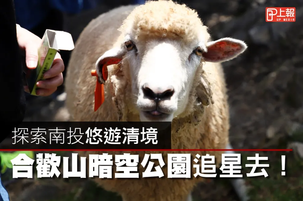 【有羊片】悠遊清境　合歡山暗空公園追星去！ 
