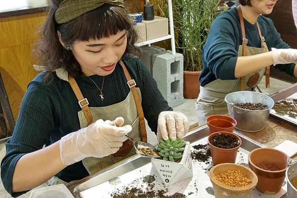 參加遊肉園！動手設計你的多肉療癒小盆栽　